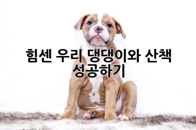 fc0fc8308762bd0a78883836eb14f2cb.jpg