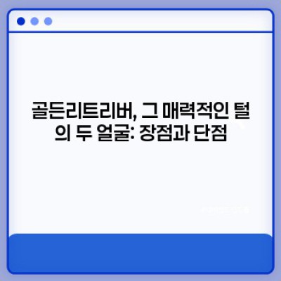 골든리트리버 털 관리: 핵심 가이드 & 장단점 비교 분석