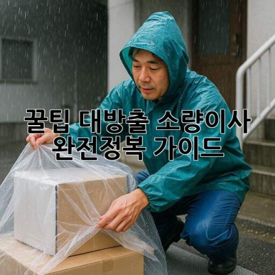 📦 꿀팁 대방출! 소량이사 완전정복 가이드 🚚💨