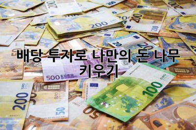 배당 투자로 나만의 돈 나무 키우기🌳
