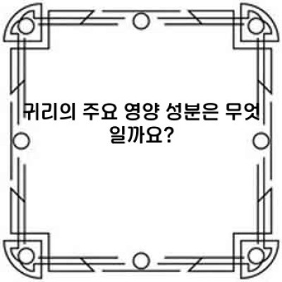 귀리의 놀라운 효능: 건강한 삶을 위한 완벽한 선택