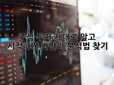 주식 투자, 제대로 알고 시작하기: 나만의 분석법 찾기