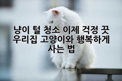 냥이 털 청소, 이제 걱정 끗! 우리집 고양이와 행복하게 사는 법🐈