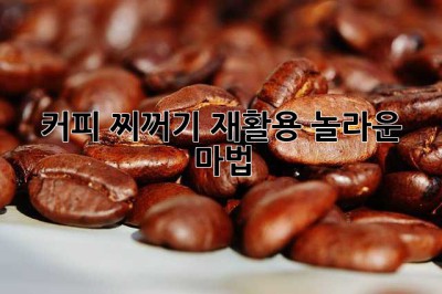 커피 찌꺼기 재활용, 놀라운 마법! ✨