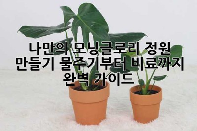 나만의 모닝글로리 정원 만들기: 물주기부터 비료까지 완벽 가이드!