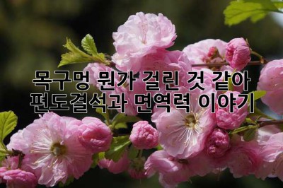 목구멍 뭔가 걸린 것 같아? 편도결석과 면역력 이야기