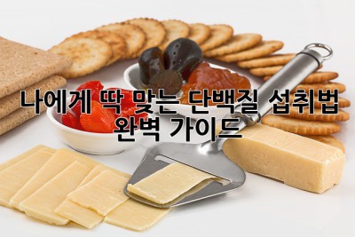 나에게 딱 맞는 단백질 섭취법 완벽 가이드