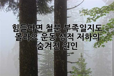 힘들다면 철분 부족일지도 몰라요: 운동 성적 저하의 숨겨진 원인