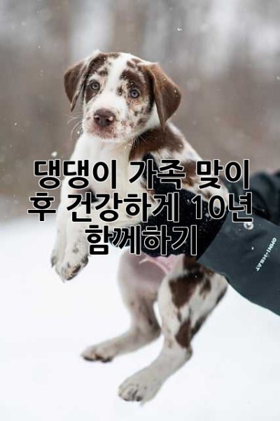 댕댕이 가족 맞이 후, 건강하게 10년 함께하기🐶