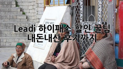 Leadi 하이패스 할인 꿀팁! 내돈내산 후기까지 💯