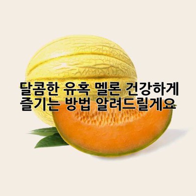 달콤한 유혹, 멜론! 건강하게 즐기는 방법 알려드릴게요💛