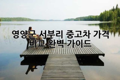 영양군 서부리 중고차 가격 비교 완벽 가이드