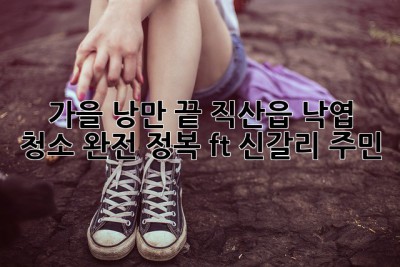 가을 낭만🍂 끝! 직산읍 낙엽 청소🧹 완전 정복 (ft. 신갈리 주민)