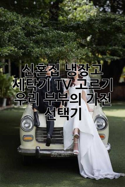 신혼집 냉장고, 세탁기, TV 고르기: 우리 부부의 가전 선택기