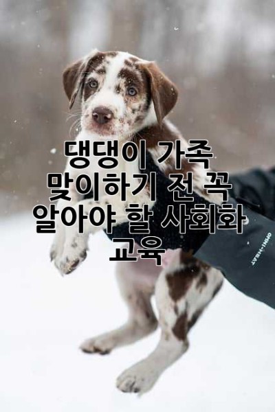 댕댕이 가족 맞이하기 전, 꼭 알아야 할 사회화 교육!