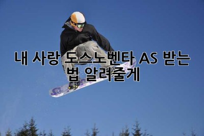 내 사랑 도스노벤타, AS 받는 법 알려줄게! 💖