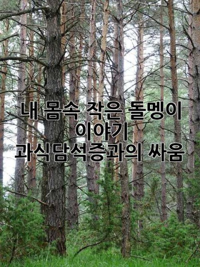 내 몸속 작은 돌멩이 이야기: 과식담석증과의 싸움
