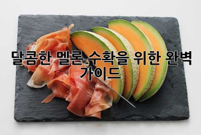 달콤한 멜론 수확을 위한 완벽 가이드!