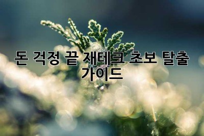 돈 걱정 끝! 재테크 초보 탈출 가이드🚀