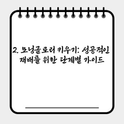 모닝글로리 폭풍성장 시크릿: 초보도 성공하는 재배 가이드 & 종류 비교