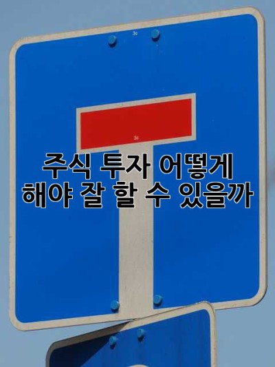 주식 투자, 어떻게 해야 잘 할 수 있을까? 🤔