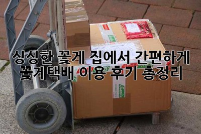 싱싱한 꽃게, 집에서 간편하게! 꽃게택배 이용 후기 총정리🦀
