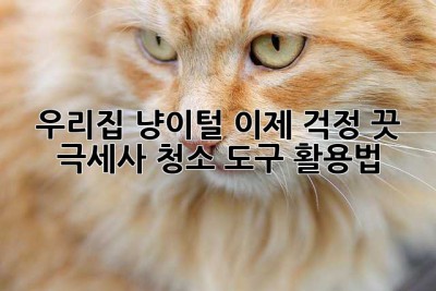 우리집 냥이털, 이제 걱정 끗! 극세사 청소 도구 활용법 ✨