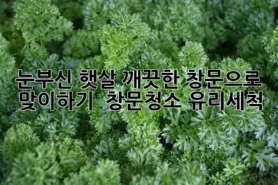 ✨ 눈부신 햇살, 깨끗한 창문으로 맞이하기 ☀️ #창문청소 #유리세척
