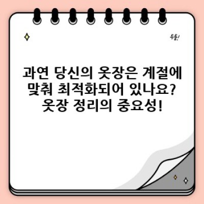 옷장 대혁신! 계절별 옷 정리법 끝판왕 가이드 (최신 트렌드 완벽 반영!)