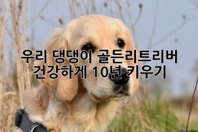 우리 댕댕이, 골든리트리버 건강하게 10년 키우기🐶