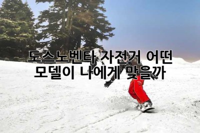 도스노벤타 자전거, 어떤 모델이 나에게 맞을까? 🤔
