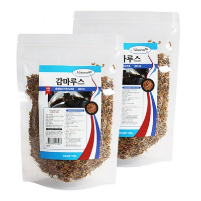 우리집 거북이가 뿅 간 거북이사료거북이 후기! 🐢
