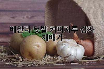 베란다 텃밭? 커피자루 감자 재배기! 🥔
