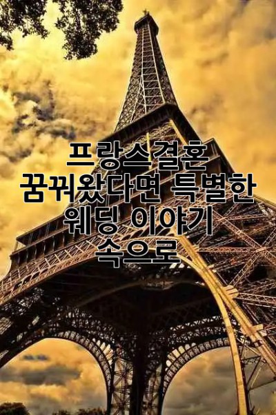 프랑스결혼 🇫🇷💍 꿈꿔왔다면? 특별한 웨딩 이야기 속으로!